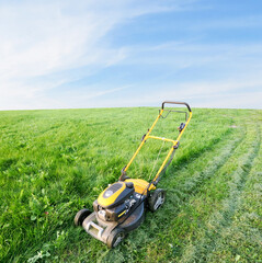 Grass mowed by a lawn mower. Lawn care on the lawn in front of the house.