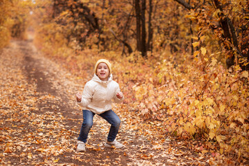a girl in a white jacket and a yellow hat, a preschooler happily scatters yellow leaves in the autumn colorful forest. The concept of rest in the forest in autumn.