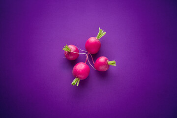 radish on a purple background close-up