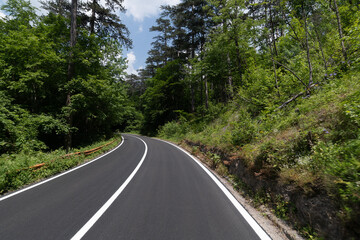 Fototapeta na wymiar Asphalt road in the forest on a sunny day