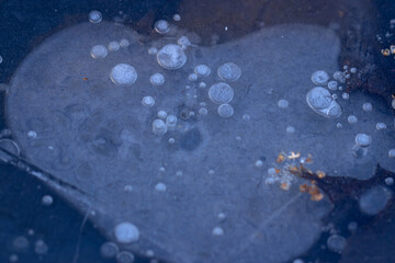 Bubbles in a frozen puddle