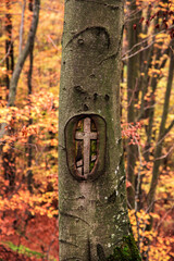 Image of a Christian cross on a tree in the autumn forest.