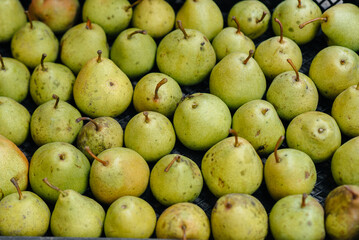 Boxes of ripe juicy pears stand after harvesting close-up. Healthy organic food.