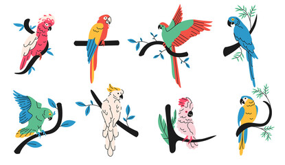 Tropical parrots simple elements collection. Exotic birds flat isolated set. Jungle fauna in trendy flat design.