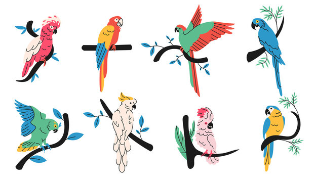 Tropical parrots simple elements collection. Exotic birds flat isolated set. Jungle fauna in trendy flat design.