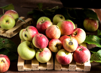 kleine wildäpfel auf einer holzpalette vor schwarzen hintergrund