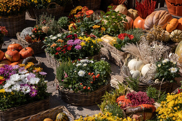 Variety of beautifully decorated gift baskets of bright autumn flowers, plants and pumpkins for home and garden decoration outdoor of greek flower garden shop in October.