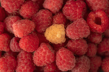 Ripe red raspberries on a plate.