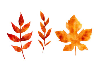autumn watercolor leaf. design element on a white background. hand doodle illustration. set of leaf icons for printing on stickers, souvenirs, stationery, postcards
