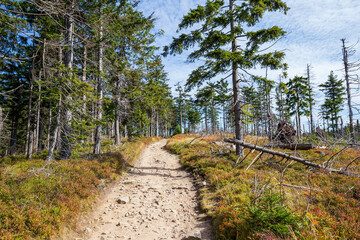 Trekking path, hiking trail, adventure concept landscape, pathway to Barania Gora Mountain in Polish Beskid Mountains