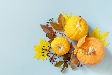 Creative top view flat lay autumn composition on a blue paper background. Autumn harvest thanksgiving halloween anniversary invitation template. Flat lay, top view.