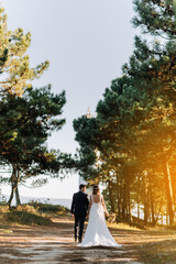 Just married couple walking on a forest