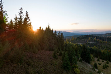 Colorful morning silhouettes of coniferous forest Beautiful sunrise in the mountains