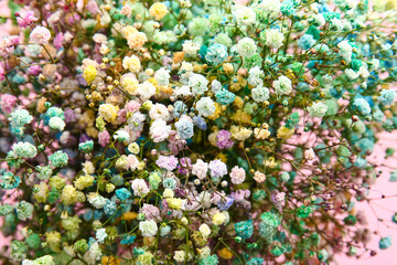 Beautiful gypsophila flowers as background, closeup
