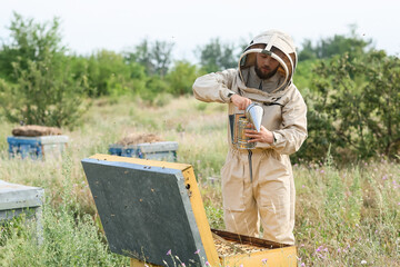 Beekeeper working at his apiary