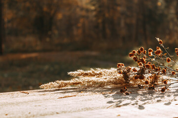 Dried flowers are lying on the table against the background of an autumn forest. Selective focus. The concept of a warm autumn