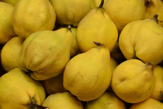 Yellow pearshape quince fruits background, fresh, ripe cydonia fruits harvest.