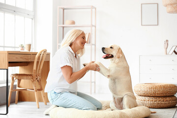 Mature woman holding paws of cute Labrador dog at home