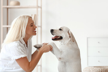 Mature woman holding cute Labrador dog at home