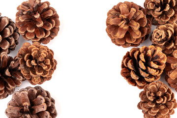 Pine cones isolated on a white background, photography