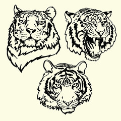 vector image of a tiger's head for tattoo