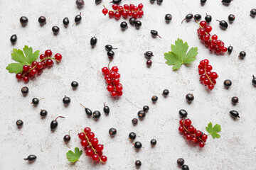 Different red and black currant on light background