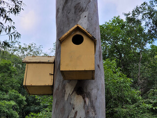 wooden bird house