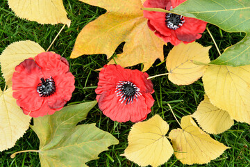 Poppy flowers with fallen leaves on green grass. Remembrance Day