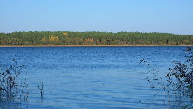 Beautiful landscape of Russia. Clear blue sky, wonderful lake, river, in background dense green forest. Good weather. Blue lake on a sunny day. Autumn fall season. Wild nature countryside.