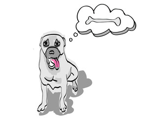 dog with bone