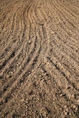 plowed field background or texture