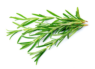 Fototapeta premium Rosemary herbal