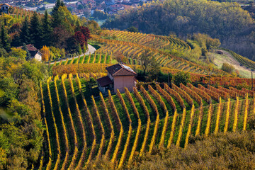 Rural house on the hill among vineyards in Italy.
