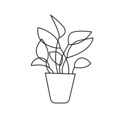 illustration of home plant in pot in line art minimalist style black line on white background