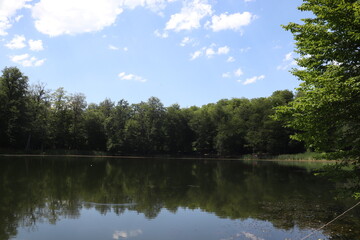 Fototapeta premium lake in the park