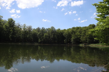 Obraz premium lake in the park