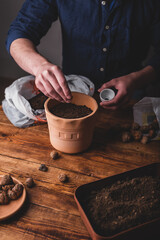 Fototapeta na wymiar Man Sowing Thyme Seeds into Terracotta Pot