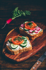 Vegetarian sandwiches with fresh vegetables