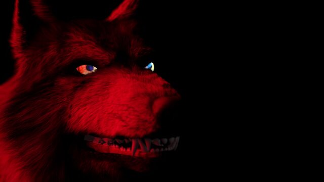 Scary Wolf: The monster comes out of the frame and scares his teeth and growling. Graphical representation of an evil, rabid wolf.