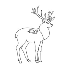 Deer. Hand drawn sketch illustration isolated black on white background. Illustration of a deer. Vector linear illustration in doodle style. Christmas deer