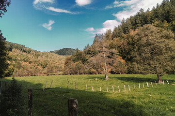 Obraz premium Promenade automnale dans l'eifel