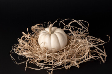 Natural pumpkin seasonal Halloween concept: Organic fresh food on hay. Raw uncooked gourd vegetables. Agricultural background with copy space. Harvest in autumn, October. Party preparation