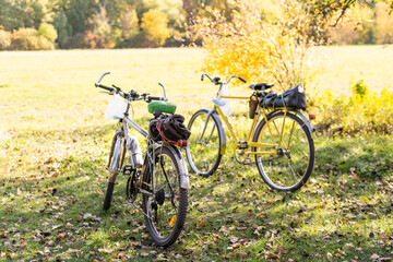 Fototapeta na wymiar two bicycles standing on covered autumn leaves