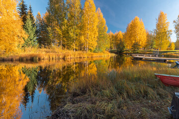 Autumn landscape by the lake and the reflection of trees in the water. Sunny day..Yellow foliage on trees in autumn