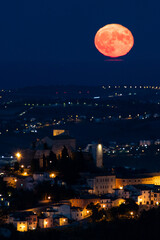 Fototapete bei efototapeten.de bestellen   