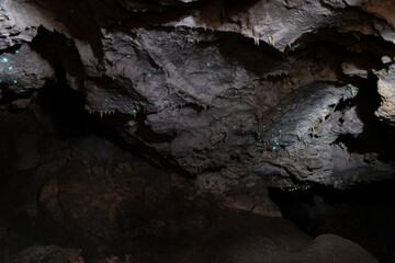 Fenian caves ,Oparara Valley, New Zealand