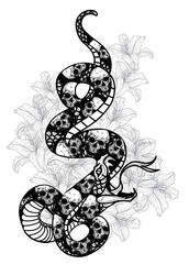 Fototapeta premium Tattoo art snak and skull pattern drawing and sketch black and white