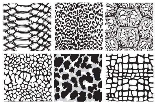Set of seamless animal print pattern black and white