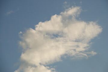 A cloud against a light blue sky. A small white cloud of a bizarre elongated shape stretched out against the background of a clear blue sky. Summer sunny day.