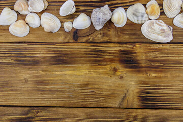 Sea shells on rustic wooden background. Top view, copy space